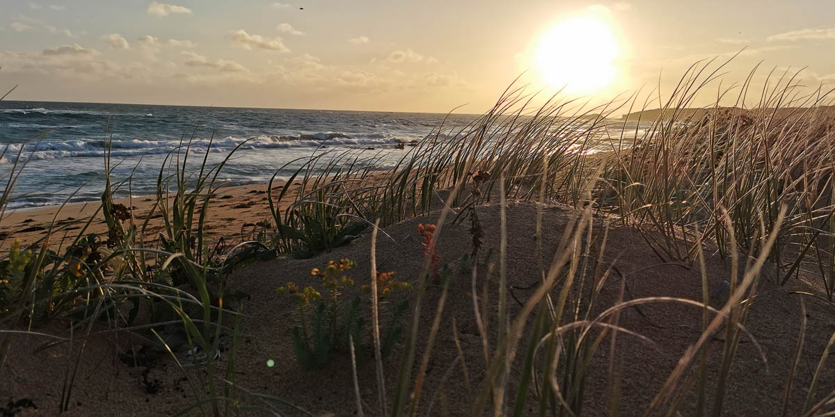 Beachport Hotel SA Photo