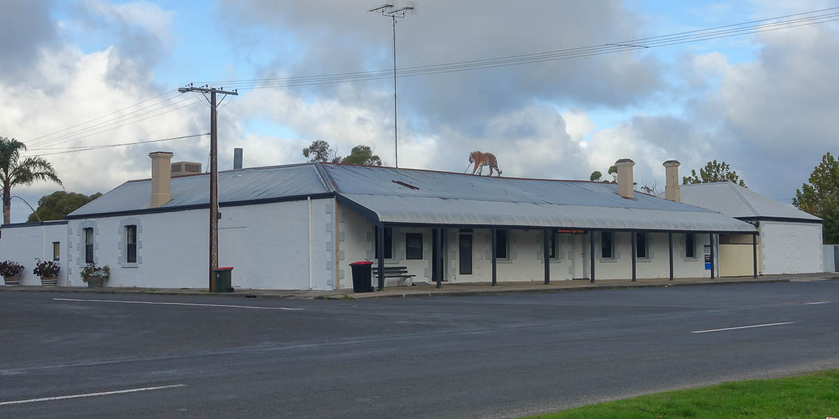 Tantanoola Tiger Hotel Photo